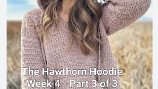 The Hawthorn Hoodie CAL Week 4  Part 3 [upl. by Codel410]