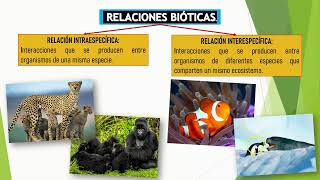 RELACIONES INTERESPECÍFICAS  ECOLOGÍA GENERAL [upl. by Obediah150]