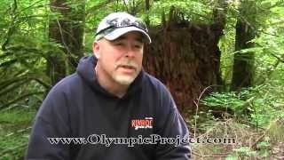 Olympic Project Expeditions in Sasquatch Research [upl. by Drewett]