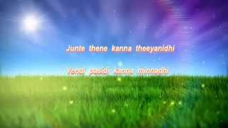 JUNTI THENE KANNA Karaoke Track version Pradeep philip [upl. by Nanis]