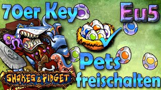 Pets freischalten mit dem Level 70 DungeonKey  sfgame Eu5  Shakes amp Fidget Gameplay Deutsch [upl. by Ettenuj]