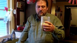 How To Make Hackberry Milk  Raw Food Wild Edibles [upl. by Gherardi238]