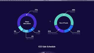 INTEGRITY Обзор ICO [upl. by Eitisahc]