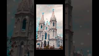 Shrine Basilica  Vailankanni shorts youtubeshorts velankanni vailankanni youtube video yt [upl. by Koh]