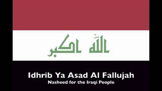 Idhrib Ya Asad Al Fallujah [upl. by Eihcir]