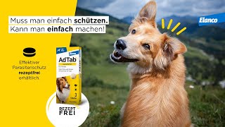 AdTab™ Parasitenschutz für Hunde [upl. by Euqinaj]