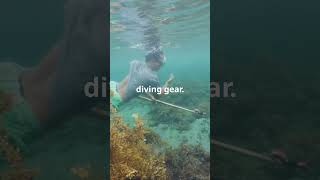 Bajau The Sea Nomads secret [upl. by Galven]