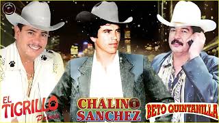 Chalino Sanchez 🎇 Beto Quintanilla y Tigrillo Palma Mix Para Pistear 🎶 Corridos Perrones Mix [upl. by Eirrek]