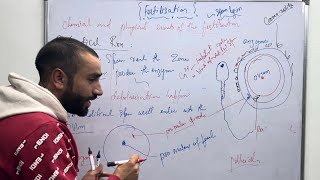 Fertilisation and implantation  Human Reproduction Neet Biology [upl. by Acinomed]