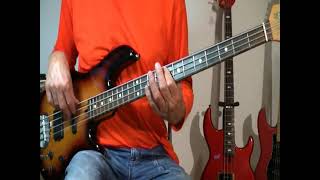 Stevie Wonder  Blowin In The Wind  Bass Cover [upl. by Yung]