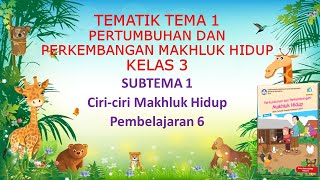 Kelas 3 Tematik  Tema 1 Pertumbuhan dan Perkembangan Makhluk Hidup Subtema 1 Pembelajaran 6 [upl. by Ahtreb]