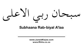 How To Say The Tasbeeh in Sajda  Subhaana Rabbiyal Alaa [upl. by Carma]