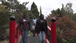 African Refugees in Australia  Experience in Africa [upl. by Masuh]