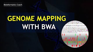 How I perform Genome Mapping using BWA  Mapping any Reads to a Reference Genome  Pairedend Reads [upl. by Evol29]