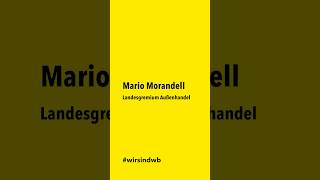 Mario Morandell Spitzenkandidat Landesgremium Außenhandel [upl. by Marquez975]