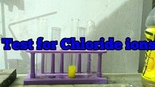 Test for Chloride ionsnew [upl. by Lorrad70]