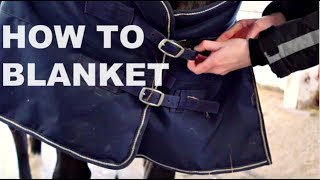 How to blanket a Horse [upl. by Ybocaj]