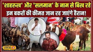 Bakrid2024 Barmer की बकरा मंडी में Salman और Shahrukh की धूम local18 [upl. by Bolitho]