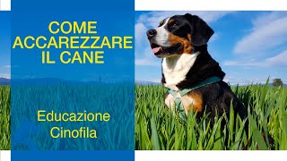 Come Accarezzare il Cane [upl. by Harned212]