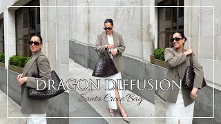 Dragon Diffusion  Santa Croce Bag  Blessy Roy [upl. by Ule]