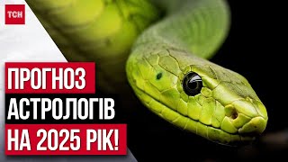 Тотемна тварина наступного року це Яким може бути 2025 рік прогнози астрологів [upl. by Dolph]