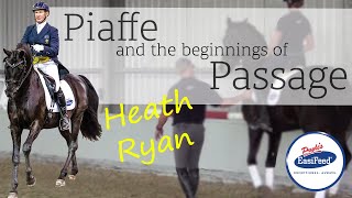 Piaffe and the beginnings of Passage training  Dressage with Heath Ryan [upl. by Pierrette]