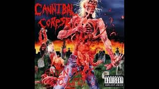 Cannibal Corpse  A Skull Full of Maggots instrumental  karaoke track [upl. by Suzette]