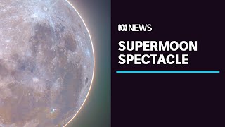 quotPinkquot supermoon dazzles night skies across Australia  ABC News [upl. by Orrin]