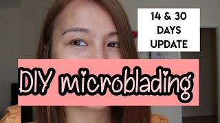 Microblading My Own Eyebrows At Home  LilPinay DIY Series [upl. by Aelram]