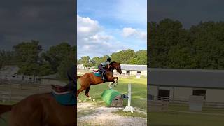 my fav jumpys from fridayyy haydenandhorses [upl. by Emse896]