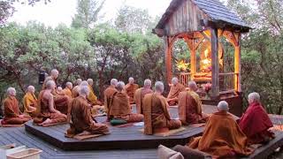 Pali Chanting In The Abhayagiri Buddhist Monastery  Theravada Buddhism [upl. by Laidlaw587]