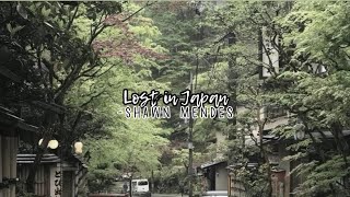 lost in japanshawn mendes sped up  reverb [upl. by Toile]