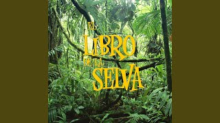 El Libro de la Selva Cuento Infantil 1 [upl. by Aryc93]