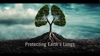 Trailer  Protecting Earths Lungs [upl. by Inanuah]