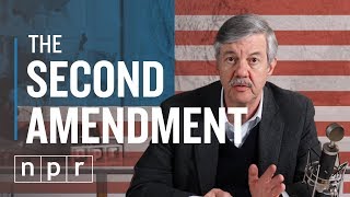 So You Want To Repeal The 2nd Amendment  Ron’s Office Hours  NPR [upl. by Notsag750]