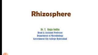 Rhizosphere [upl. by Branscum455]