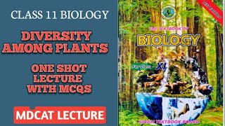 DIVERSITY AMONG PLANTS  ONE SHOT SERIES PART 1  MCQS ALSO EXPLAINED  DOCTORS STOP BIOLOGY [upl. by Foscalina]