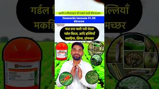 इल्ली सुंडी की सस्ती सुंदर दवा  Emamectin benzoate 5 sg  Tana chedak Sundi illi ki dawa  shorts [upl. by Aierbma]