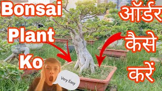 Bonsai Plant Ko  ऑर्डर कैसे करें  Very Easy  😱😱  BonsaiGardenNursery  Contact Now 👇 [upl. by Ttenaj]