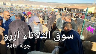 أثمنة الغنم والبقر والدجاج والخضر سوق الثلاثاء أزرو اليوم الثلاثاء 22102024 [upl. by Alrac]