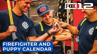 Vancouver firefighters pose with shelter dogs for 2025 calendar [upl. by Ruyle236]