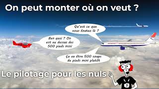 Pilotage pour les nuls 11 Altitudes [upl. by Ecire]