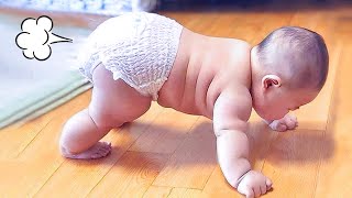 Funny Baby Videos  Adorable Chubby Baby Moments Compilations [upl. by Nattie]