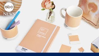 Pantone announces its 2024 color of the year Peach Fuzz [upl. by Ilka]