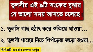 ভালো সময় আসার আগে তুলসী গাছ দেয় ৯টি সংকেত  Vastu [upl. by Gertrudis]