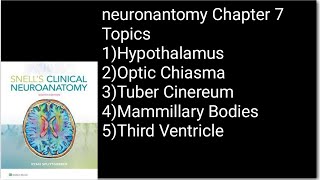 Neuronantomy Chapter 7HypothalamusOptic ChiasmaTuber CinereumMammillary Bodiesneuroanatomy [upl. by Burlie]