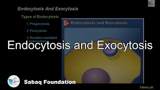 Endocytosis and Exocytosis Biology Lecture  Sabaqpk [upl. by Virginia]