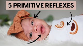 5 Important Infant Reflexes To Check Your Baby For  Primitive Reflexes 101  Kids OT Help [upl. by Tory665]