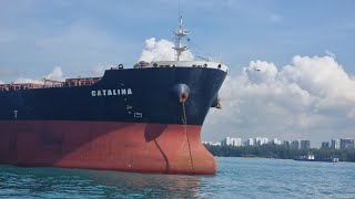 The World of Ship Spotting Exploring Maritime Wonders  BULK CARRIER  CARGO SHIP  TANKER  OCEAN [upl. by Rance]