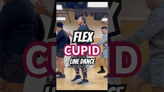 Line Dance  Cupid  Flex linedance cupid flex linedancing easychoreography youtubeshorts usa [upl. by Nywde919]